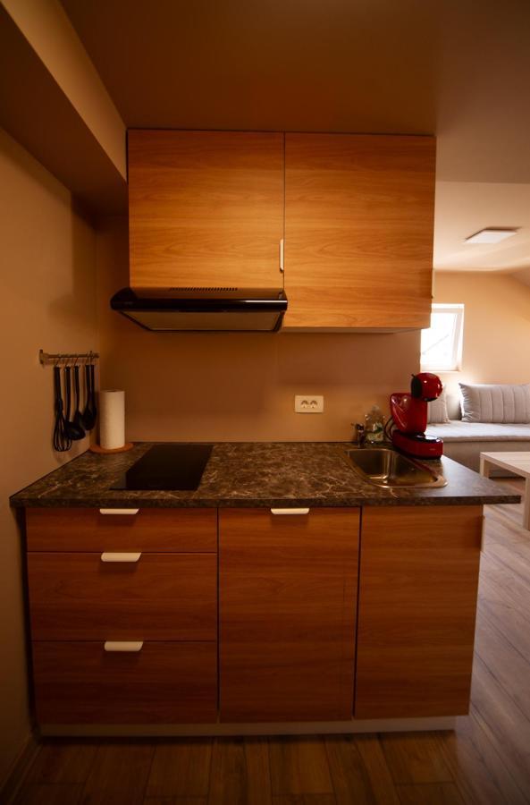 Sport Apartments Radovljica Kültér fotó
